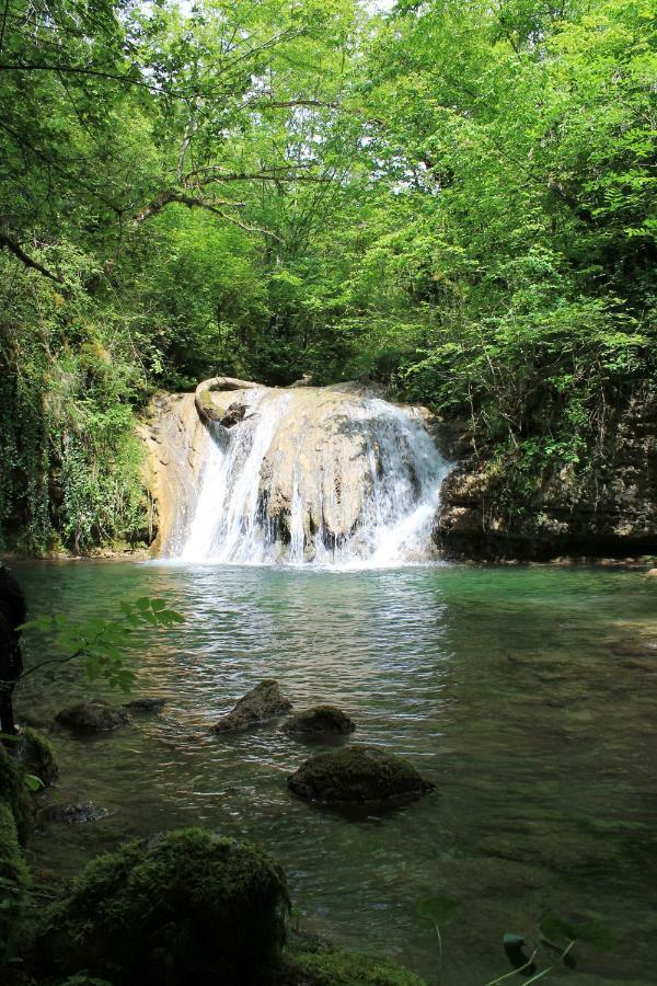 Goute La Vie Panzió Marchamp Kültér fotó