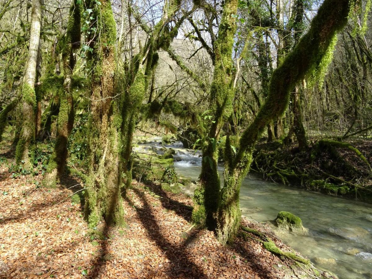 Goute La Vie Panzió Marchamp Kültér fotó