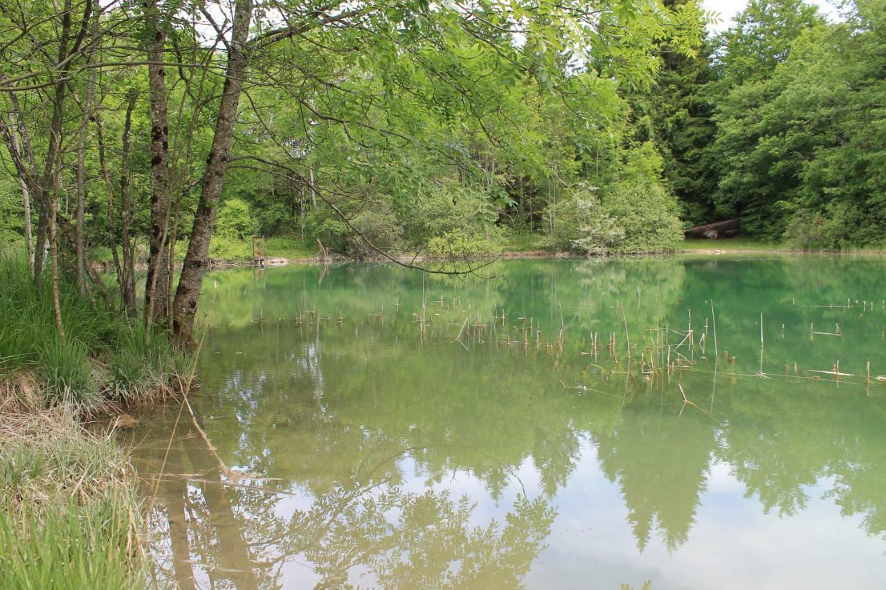 Goute La Vie Panzió Marchamp Kültér fotó